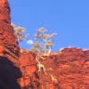 09 Pastels, Red Rocks, and Green - 30/9/2021